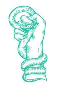 hand holding snake