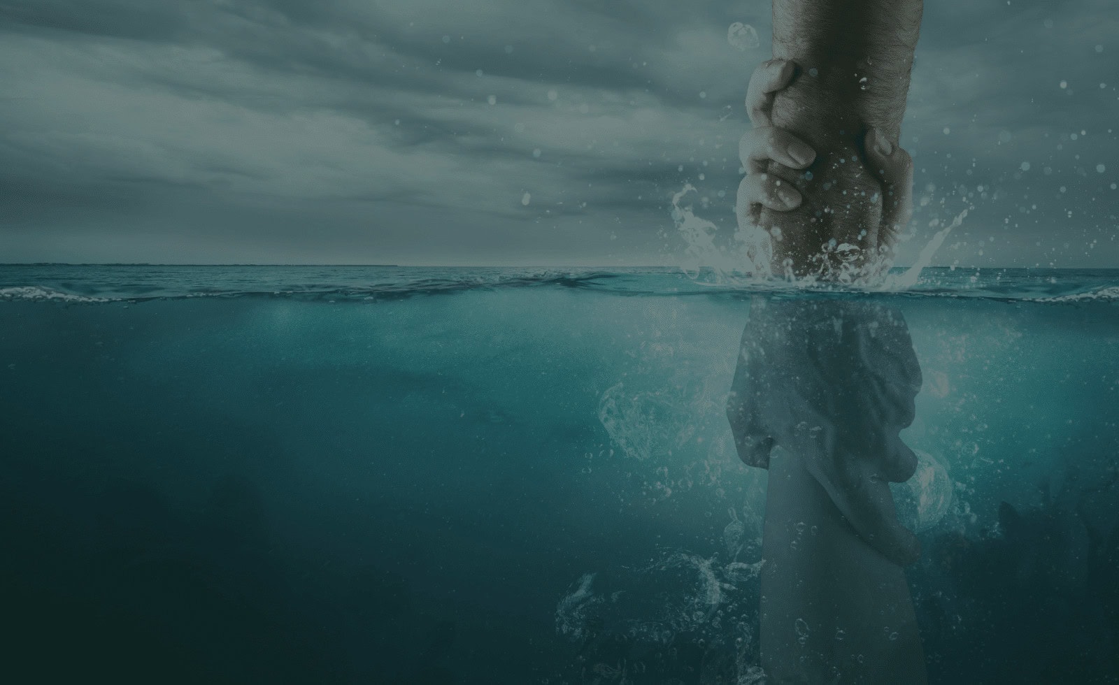 Freedom Fight Certification Training