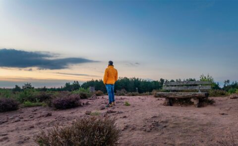 Opposition In The Promised Land - The Freedom Fight