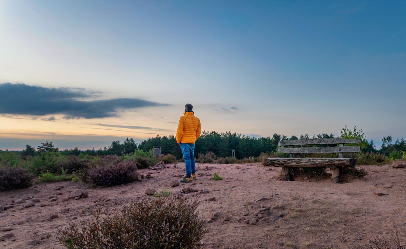 Opposition In The Promised Land - The Freedom Fight