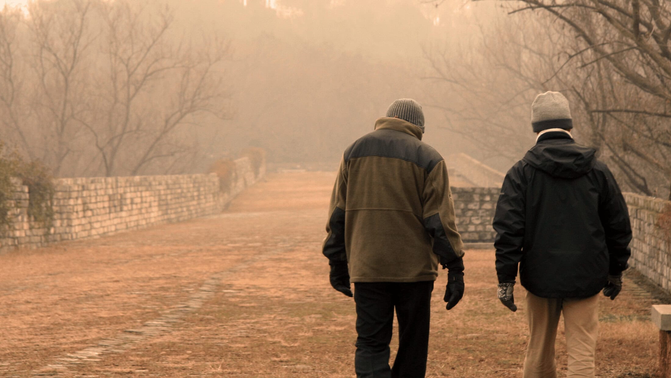 Solution to Pornography