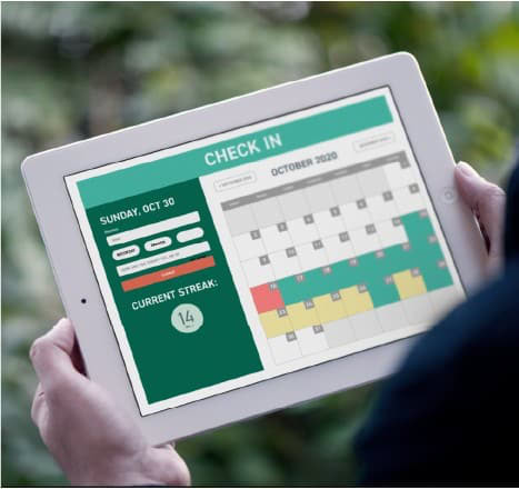 Ipad showing The Freedom Fight App.