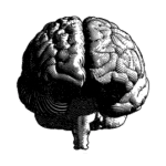 Understanding and Overcoming Men’s Pornography Addiction 2 brain and stem 150x150 2