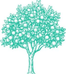 fruit tree 269x300 1