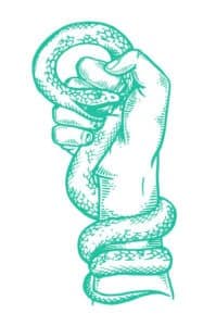 hand holding snake 199x300 2
