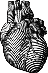 Understanding and Overcoming Men’s Pornography Addiction 5 heart 1