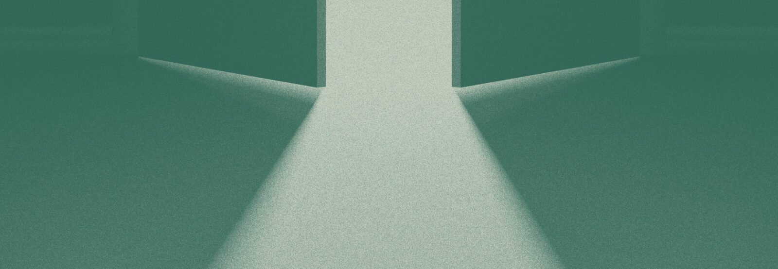 The Freedom Fight Our Story